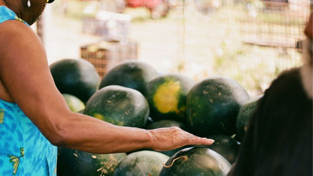 The US food bank keeping Gullah Geechee farming traditions alive: ‘Our ...