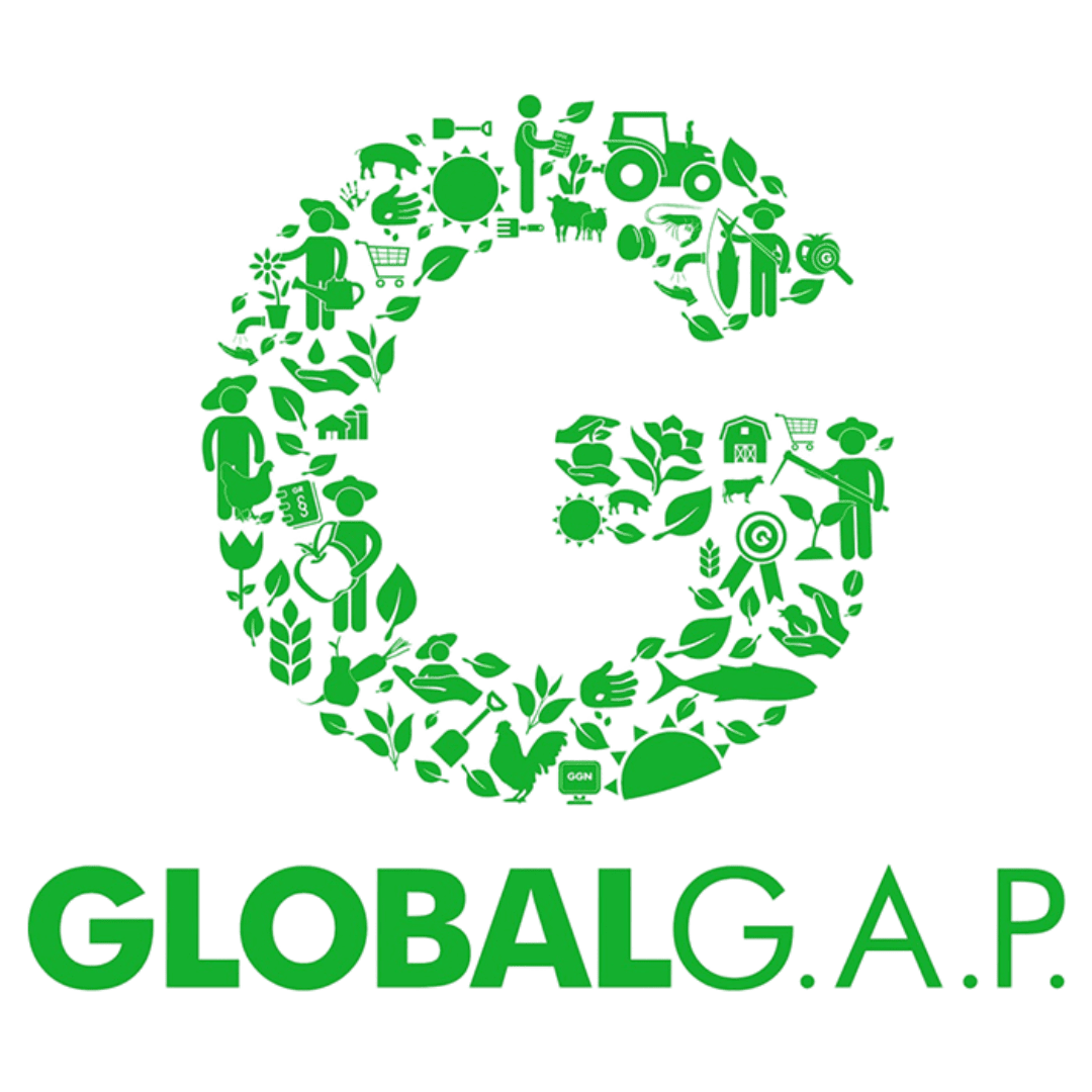 Global GAP Certification