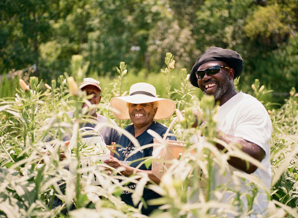 Gullah Farmers Coop