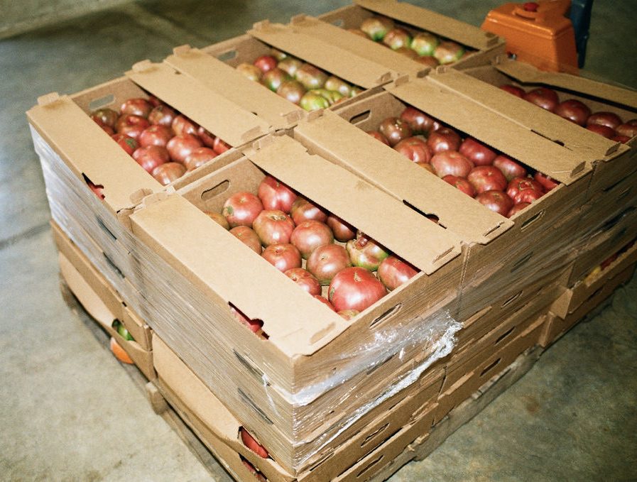 gullah-co-op-rollins-44