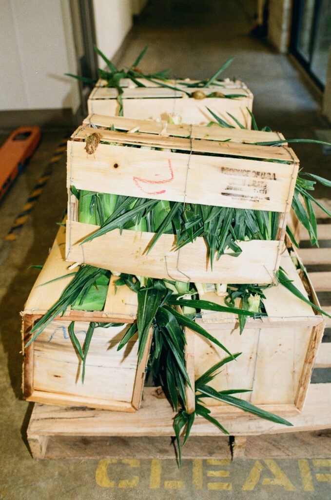 gullah-co-op-rollins-45